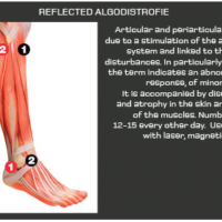 COMBIMED-4000.2 - Fisio-shop