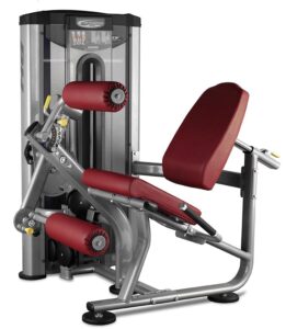 BH SISTEMA DUAL LEG EXTENSION / LEG CURL