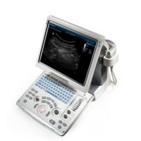 ECOGRAFO-DP-50-PT - Fisio-shop